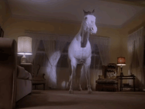 horse