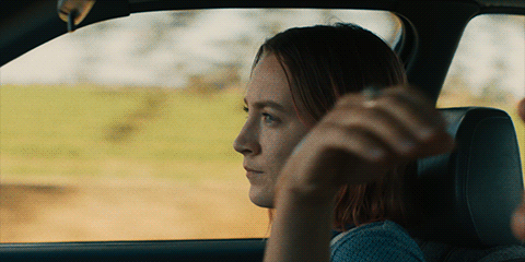 lady bird
